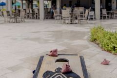 DSC00230-Edit-medium