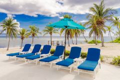 DSC00331-Edit-medium