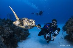 Diver-and-UW-photographer-with-turtle_by-Tiago-Peixoto-medium