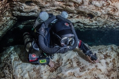 23415451_10159740118310436_1943645881082530941_o