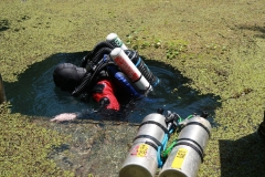 31948911_1118601821627565_5912489440378355712_o