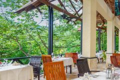 anse-new-treehouse-2-medium-e1710676395491