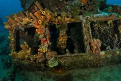lesleen-m-wreck-2