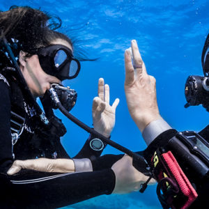 Inactive Diver/Refresher Program